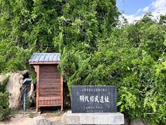 -大槐树寻根祭祖园