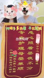 -安琪朵朵独栋花园月子中心