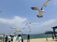 -海驴岛(荣成市)