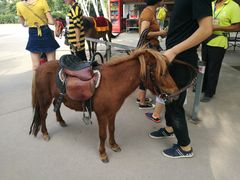 -西安秦岭野生动物园