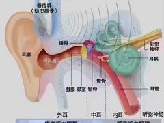 -自然之声助听器(平凉店)