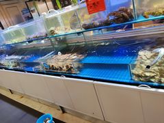 -四海蒸鲜蒸汽海鲜自助(北戴河店)