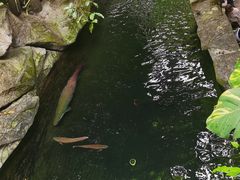 -青青世界