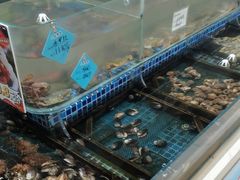 -天盛海鲜烧烤大排档·本地小海鲜·牟平腿穗子(幸福店)
