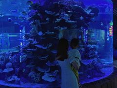 -左海海底世界