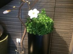 -牛爱客牛排(温岭千禧店)