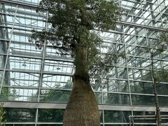 -南山植物园