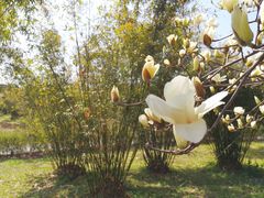 -共青国家森林公园-售票处