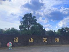 -径山花海