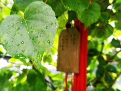 -时尚mego商业广场