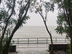 -上海吴淞炮台湾国家湿地公园