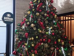 -新加坡乌节希尔顿酒店 (SG Clean)