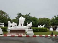 -清迈夜间动物园