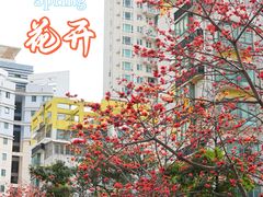 -深圳国际园林花卉博览园