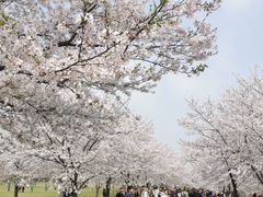 -上海辰山植物园