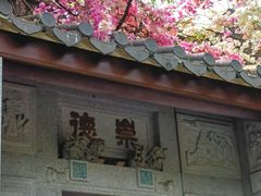 -深圳国际园林花卉博览园