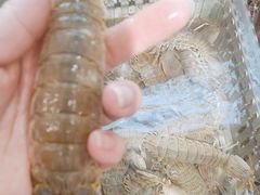 -山海经·海边人家 海鲜新青岛菜(扬州路店)