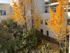 -上海市保健医疗中心