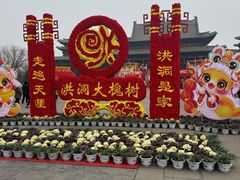 -大槐树寻根祭祖园
