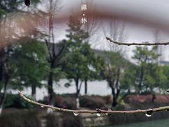 -西园戒幢律寺
