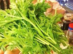 -朱氏胖子烂火锅(洪崖洞店)