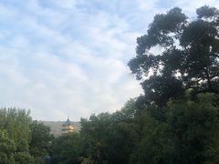 -灵谷景区