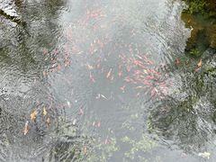 -水磨沟公园