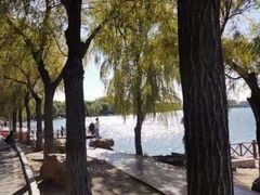 -丁香湖公园