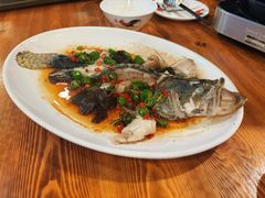 -美未居·老字号·地道顺德菜·桑拿鸡·鱼生(容桂店)