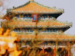 -故宫博物院(故宫)