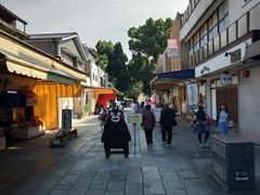 -水前寺成趣园