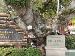 -潮州西湖