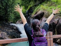 -广州白江湖森林公园