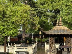 -上海东林寺(金山区)