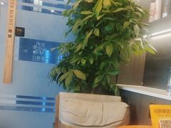 -鹿栖(佛山季华园店)