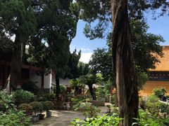 -普陀山风景名胜区-法雨禅寺