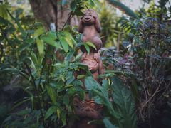 -上海辰山植物园