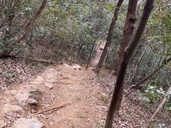 -九曜山