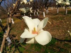 -白塘生态植物园