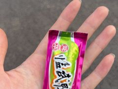 -舜华临武鸭·湖南零食特产(三王街店)