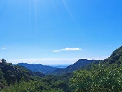 -大岭沟猕猴桃谷风景区
