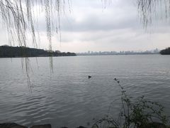 -苏堤停车场