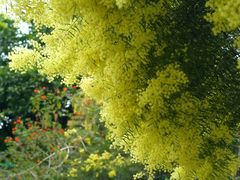 -厦门国家会计学院