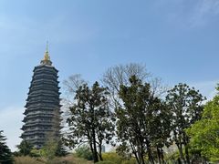 -红梅公园