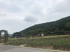 -龙寺生态园