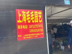 -龙大花卉苗木市场