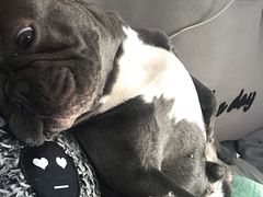 -绿茶餐厅(燕郊永旺店)