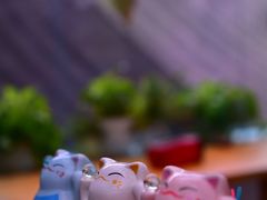 -猫小院猫主题咖啡厅(北锣店)