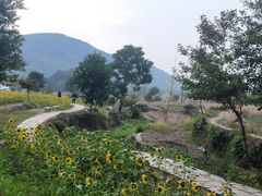 -塔川景区