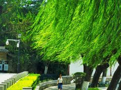 -莲湖公园